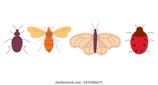 Set of colored insect garden elements. Beetle Butterfly Bee Ladybug. Hand drawn vector illustration. For teaching children. Pest protection. Animals wild nature.