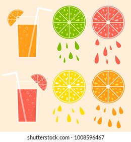 Set of colored isolated mouth-watering fruits. Juicy, bright, delicious tropical food. Lime, lemon, grapefruit, orange, cocktail with straw. Simple flat vector illustration.