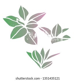 Set of colored leaves. Green leaves hand drawn. Floral background. Hand drawn vector botanical illustration. Hand drawn nature painting. Freehand sketching illustration with gradient and texture.