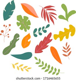 Set of colored leaves on a transparent background in vector graphics. For the design of postcards, prints, banners, wallpapers, notebook covers.