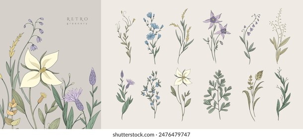 Set of colored luxury flowers and trendy botanical elements. Hand drawn leaves branches and blooming. Retro elegant wildflowers for invitation save the date card. Vector