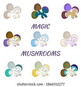 Set with colored mushrooms. Beautiful single multi-colored mushrooms on a white background, isolated.