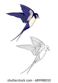 Set of colored and outline bird. 