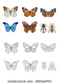 Set of colored and outline butterflies and bees.