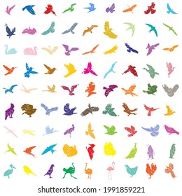 Conjunto de silfoettes de pájaros pintados de colores. Volando, sentados, nadando. Ilustración vectorial.