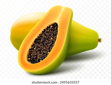 Set of colored papaya, isolated on transparent background. Pawpaw, papaya half with seeds, slice and whole juicy fruit. Tropical, exotic fruit. Realistic 3d vector illustration.