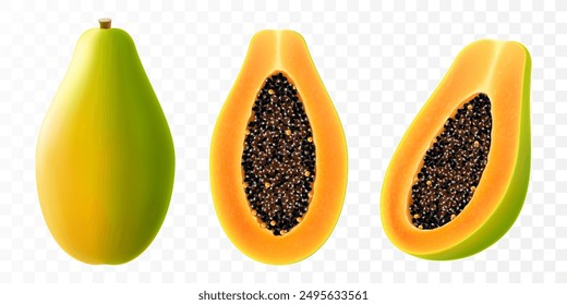 Conjunto de papaya de colores, aislado sobre fondo transparente. Pawpaw, mitad papaya con semillas, rebanada y fruta entera jugosa. Fruta tropical y exótica. Ilustración vectorial 3D realista.