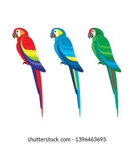 Set of colored parrots on a white background. Vector illustration