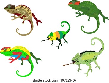 Set of colored and patterned vector chameleons, vector illustration,