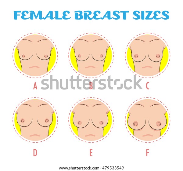 女性の胸の大きさ 体の正面図の異なる色の丸いアイコンのセット 小さいものから大きいものまで さまざまな大きさがあります Aからfまでのバストの大きさ ベクター画像 のベクター画像素材 ロイヤリティフリー