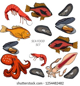 Set of colored sea food products