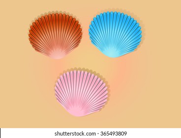 Set of colored sea shells