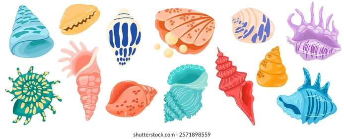 Set of colored sea shells, molluscs, sea snails, starfish. Modern flat illustration of seashells isolated on white background.