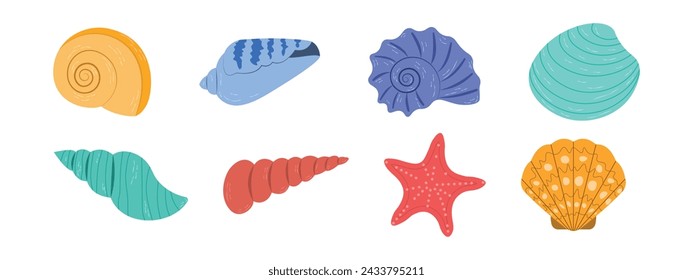 Set of colored sea shells, starfish, sea snails, illustration of sea shells on a white background.