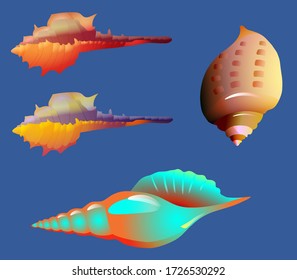 a set of colored seashells