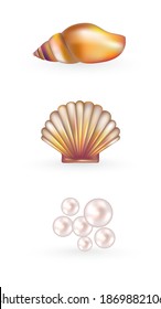 Set of colored seashells, seafood, scallop, pearl, vector illustration.