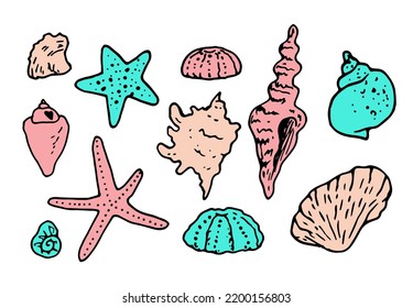 a set of colored shells and starfish. hand-drawn shells, starfish, pink and turquoise colors with a black outline with dots and stripes isolated elements on white for a summer design template