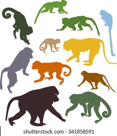 set of colored silhouettes of monkeys