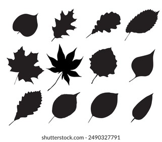 Set of colored silhouettes of various leaves - vector illustration. Clipart. Element for creating a seamless pattern