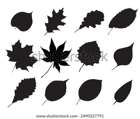 Set of colored silhouettes of various leaves - vector illustration. Clipart. Element for creating a seamless pattern