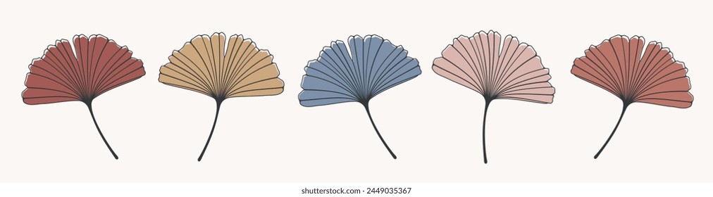 Set of Colored skeletonized ginkgo biloba leaves with veins isolated on white background. Vector illustration of EPS10