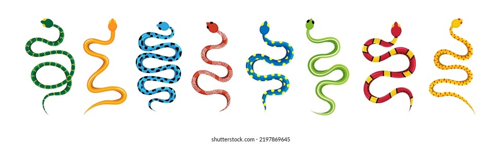 1,521 Rattlesnake Mascot Images, Stock Photos & Vectors | Shutterstock