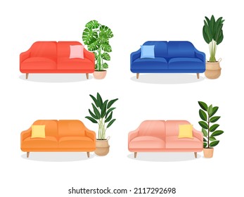 Set of colored sofa with pillows and a house plant of ficus, monstera on an isolated white background. Vector illustration of comfortable home couch for interior design. Contemporary furniture.