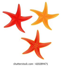 Set of colored starfish on the white background