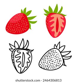 A set of colored strawberries color and contour, whole and in section. Illustration. The image of fresh and ripe strawberries is ideal for demonstrating the beauty and charm of natural sweets