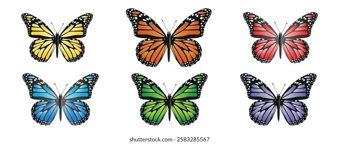 Set of colored tropical monarch butterflies, insect, isolated on white background, decoration