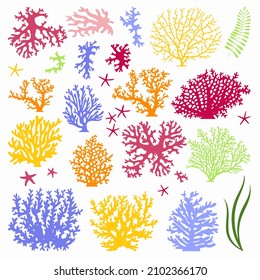 Set of colored underwater objects. Vector illustration, isolated on white background. Set of corals, algae, seashells, starfish, grass.