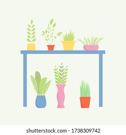 Set of colored vases with different plants for decoration and interior. Vector illustration.