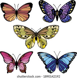 set of colored vector bright butterflies of different types
