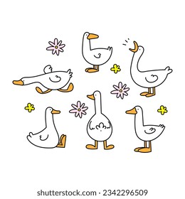 Set of colored vector doodles of geese, ducks in different poses on a white background