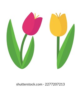 Set of colored vector tulips. Illustration of a cute cartoon pink and yellow tulip. Spring cute vector flower without background. Pink and yellow tulip sticker.