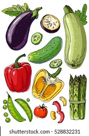 Set of colored vegetables. Fresh food. Zucchini, eggplant, cucumber, peppers, peas, tomatoes, asparagus line drawn on a white background. Vector illustration.