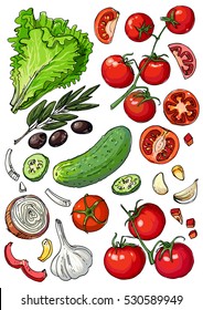 Set of colored vegetables. Fresh food. Lettuce, tomatoes, cucumber, olives, garlic line drawn on a white background. Vector illustration.