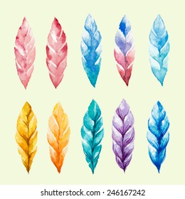 Set of colored watercolor feathers. Vector illustration.