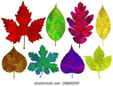 Set of colorful abstract leaves. Vector isolated, EPS10.