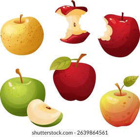 Set of colorful apples in cartoon style. Includes red, green and yellow apples – whole, sliced, bitten and core. 