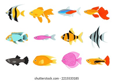 Set of colorful aquarium fish isolated. Cute cartoon tropical underwater ocean fish in pink and orange colors beautiful for home on white background. Flat vector illustration