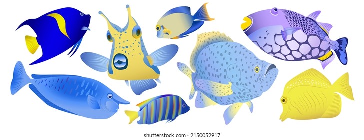 Set of colorful aquarium fish. Realistic tropical fish