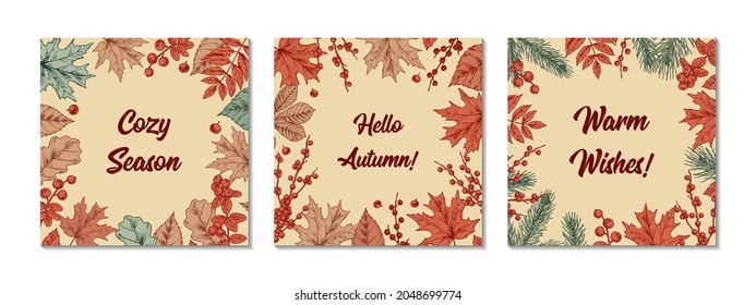 Set of colorful Autumn designs with leaves, fir tree branches and berries. Hand drawn vector illustration. 