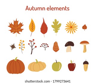 Set of colorful autumn elements isolated on white background. Vector flat cartoon illustration