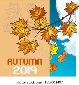 Set with colorful autumn elements. Vector illustration. Autumn banner background