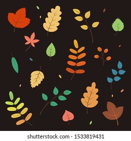 set of colorful autumn leaves