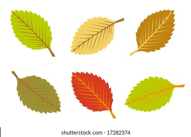 a set colorful autumn leaves