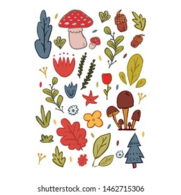 Set of colorful autumn leaves with acorns, seeds, mushrooms and trees isolated on white background. Good for poster and flyer design.