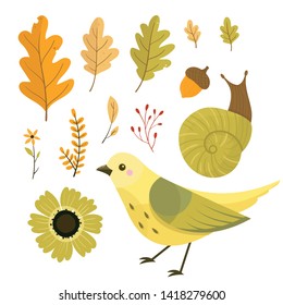 Set of colorful autumn leaves and berries. Fall season. Forest. Simple cartoon flat style. Vector illustration