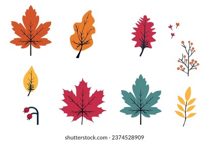 Set of colorful autumn leaves and berries isolated on white background. Yellow autumnal garden leaf, red autumn leaf and dry fallen leaves. Simple cartoon style, vector illustration